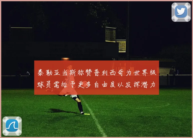 泰勒亚当斯称赞普利西奇为世界级球员需给予更多自由度以发挥潜力
